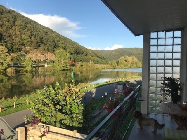 La Rose Sur Meuse Βίλα Haybes Εξωτερικό φωτογραφία